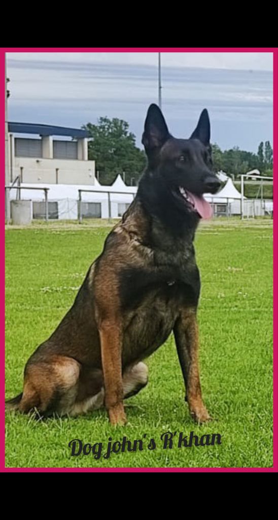Dog John's R'khan