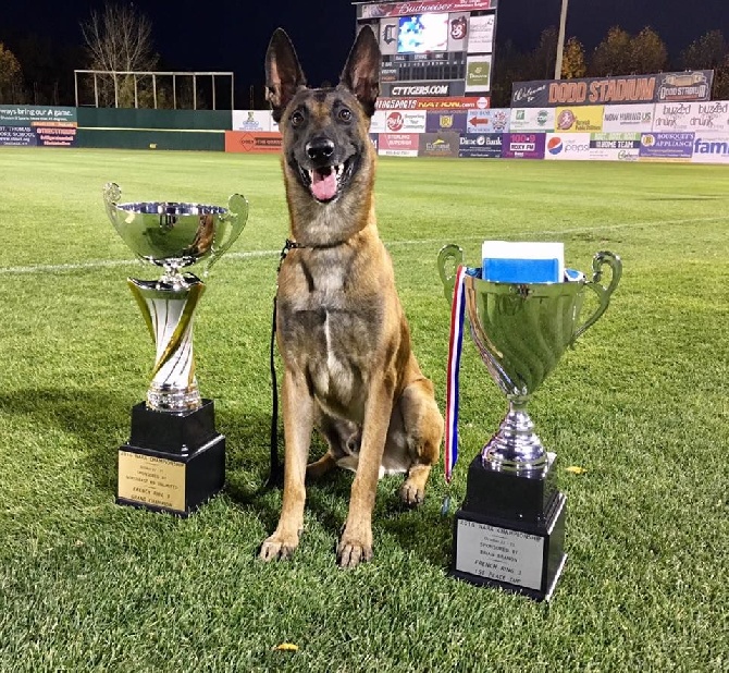 Dog John's - Champion USA 2016